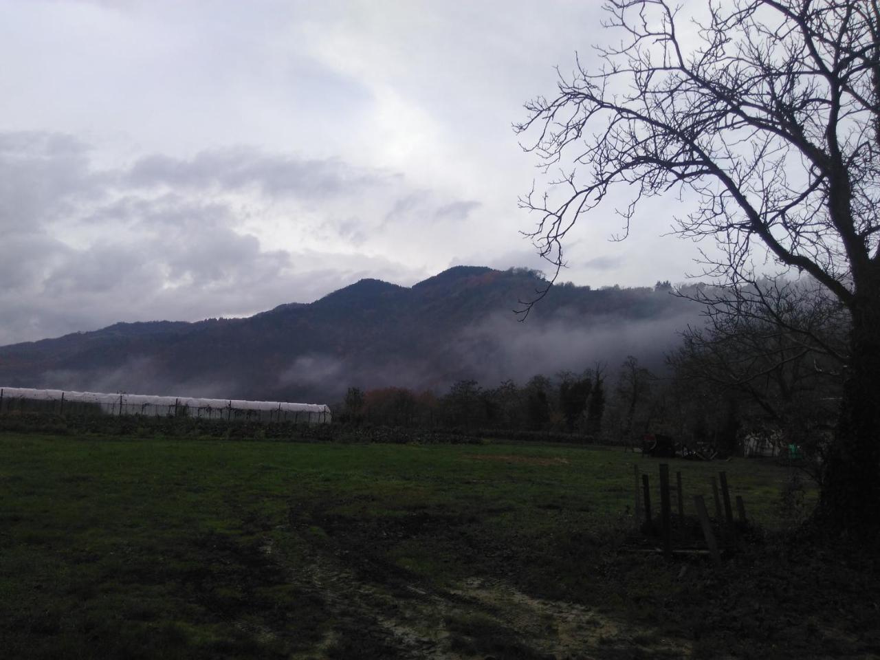 Corte San Ruffillo Country Resort Dovadola 외부 사진