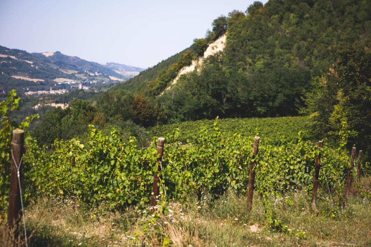 Corte San Ruffillo Country Resort Dovadola 외부 사진